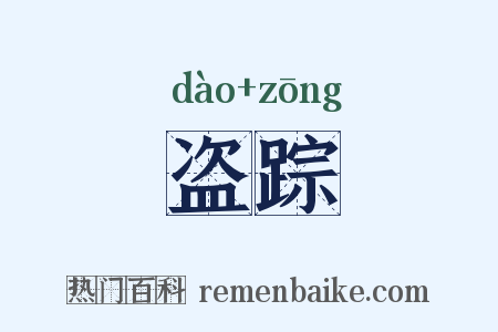 盗踪是什么意思的图片